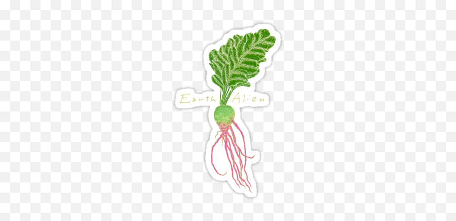 Earth Alien Watermelon Radishu0027 Sticker By Susansanford - Clip Art Emoji,Turnip Emoji