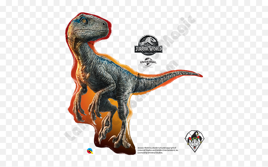 38 Inch Shape Jurassic World Raptor Foil Balloon Qualatex 1ct - Raptor Jurassic World Dinosaurs Emoji,Raptor Emoji