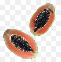 Papaya Fruit Aesthetic Freetoedit - Street Food Fillers Polyvore Emoji,Papaya Emoji