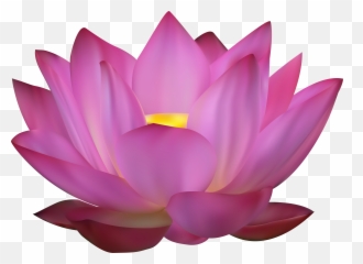 Cool Pink Lotus Flower Sticker - Lotus Flower Stickers Transparent ...