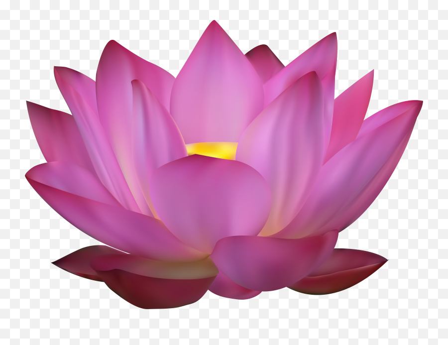 Hd Lotus Flower Png Clipart - Lotus Images In Png Emoji,Lotus Flower Emoji