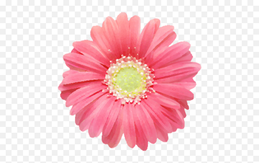 Pg Flowers - Simple Flower Png Sticker Emoji,Flower In Hair Emoji