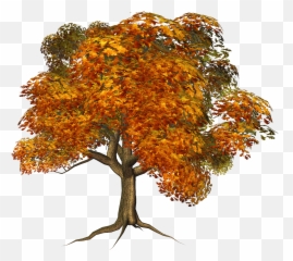 16831 Fall Free Clipart - Tree Transparent Png Emoji