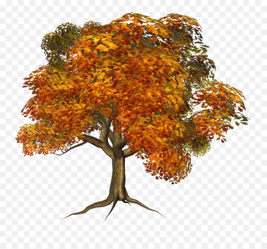 16831 Fall Free Clipart - Fall Tree Transparent Png Emoji,Fall Emoji