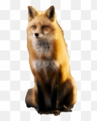 Rollos Profile Picture - Red Fox Emoji