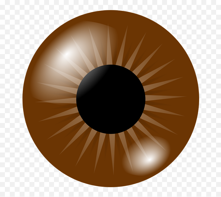 Png Eyeball Eye Iris Pupil Br - Brown Eyes Clipart Emoji,Eyeball Emoji