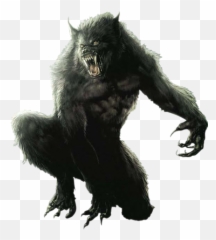 Werewolf Fantasy Wolf Scarry Halloween - Werewolf Png Emoji,Werewolf Emoji