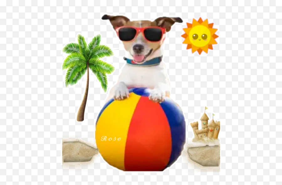 Holiday Dogs Stickers Per Whatsapp - Dog On The Beach Quote Emoji,Chihuahua Emoji