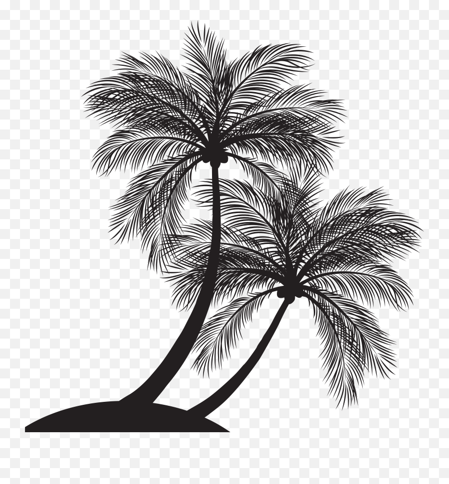 Arecaceae Tree Silhouette - Street Art Png Download 916 Emoji,Palm Tree Emoji Transparent