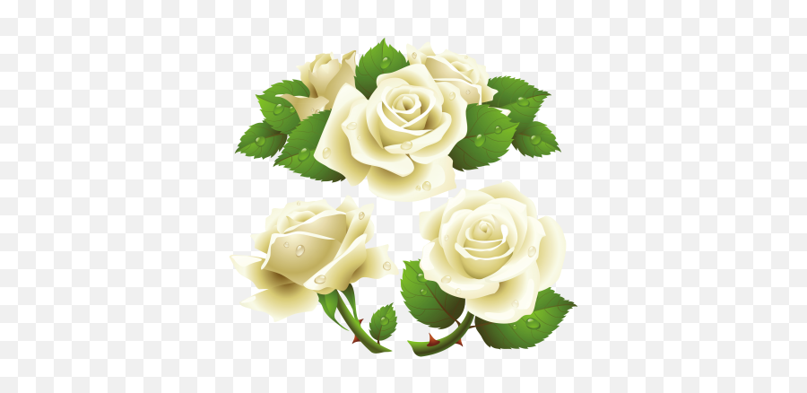 White Rose Cut Out Png - White Roses Png Emoji,White Rose Emoji