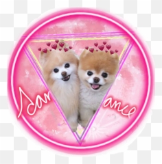 Jiffpom - Dog Emoji,Jiffpom Emoji