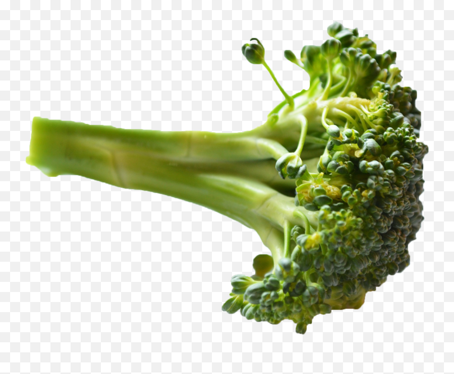 Broccoli Png Image Hd Png Svg Clip Art For Web - Download Piece Of Broccoli Png Emoji,Broccoli Emoji