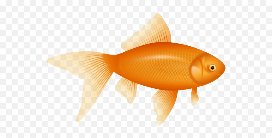 Goldfish Clipart Girly Goldfish Girly - Goldfish Clipart Emoji,Goldfish Emoji