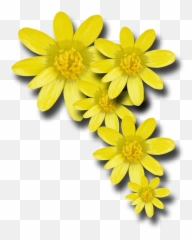 Free Onion Food Illustrations - Yellow Spring Flower Png Emoji,Taco Emoticon