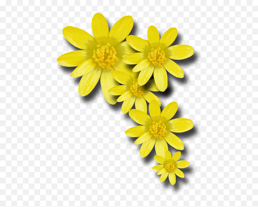 Free Onion Food Illustrations - Yellow Spring Flower Png Emoji,Taco Emoticon