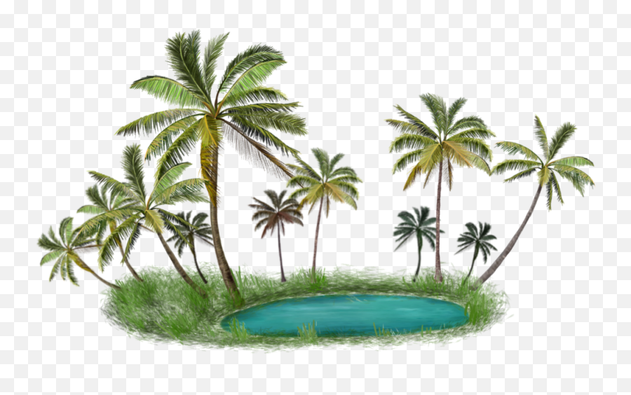 Palm Tree Island - Islands Palm Trees Png Emoji,Palm Tree Emoji