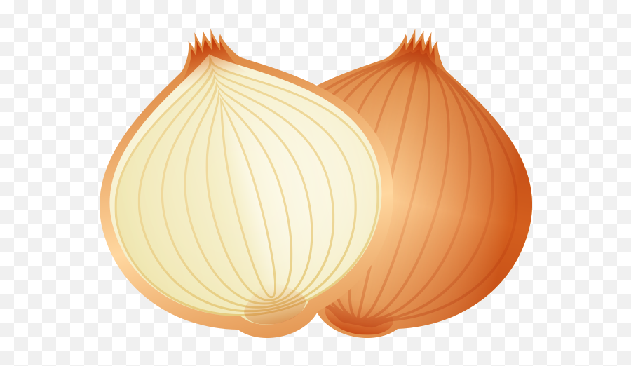 Cartoon Food Onion Png Download - Onion Cartoon Png Emoji,Onion Emoji