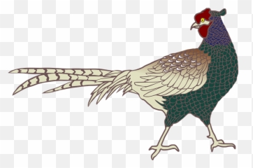 Free Pheasant Bird Images - Green Png Emoji