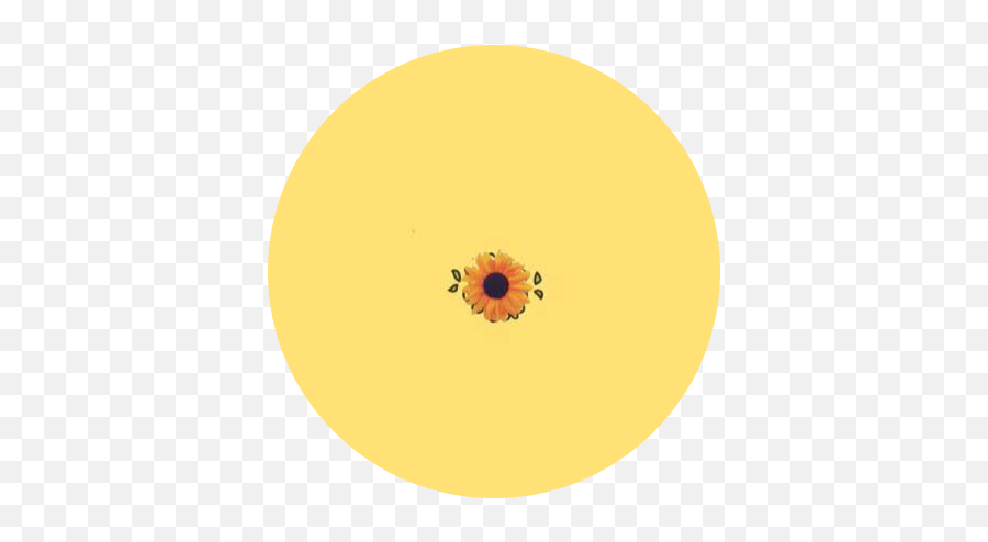 Circle Aesthetic Tumblr Background - Parque Natural Do Sudoeste Alentejano E Costa Vicentina Emoji,Yellow Circle Emoji