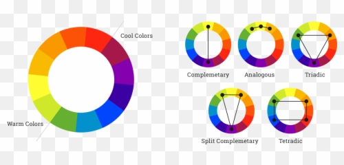 Website Color Schemes u0026 The Best Generators - Wheel Theory Png Emoji