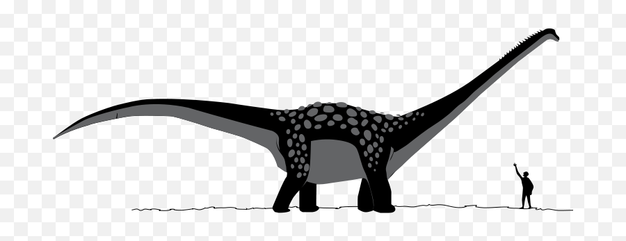 Antarctosaurus Dinosaur - Dinosaur To Human Size Comparison Emoji,Dinosaur Emoji Text