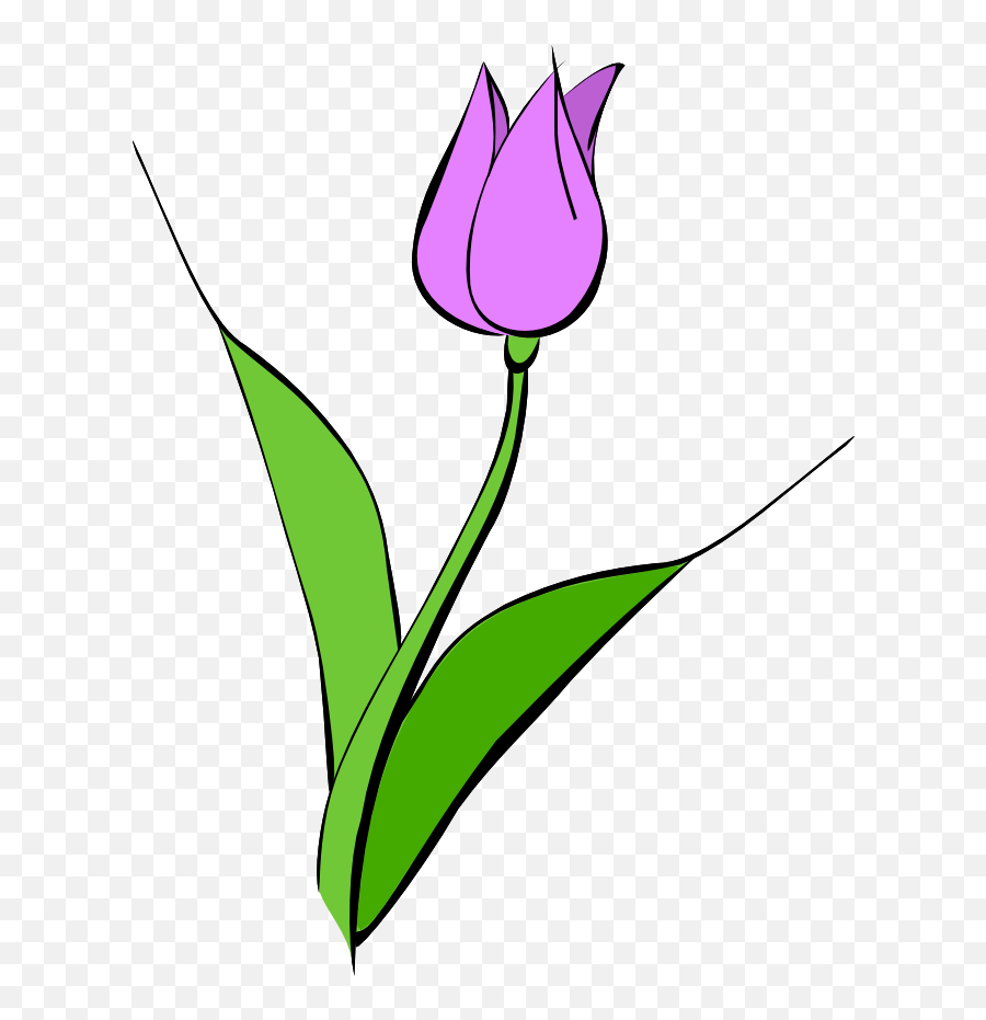Tulip Clipart Free Images - Purple Tulips Clipart Emoji,Tulips Emoji