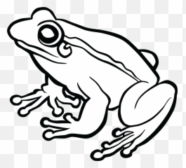 Frog And Toad Clipart Black And White - Frog Black And White Emoji,Frog Coffee Emoji