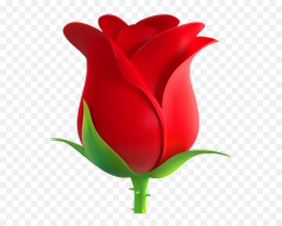Rose Emoji Flower Rose Emoji Emoticon Iphone Iphon - Rose Flower Emoji Transparent,Flower Emoticon