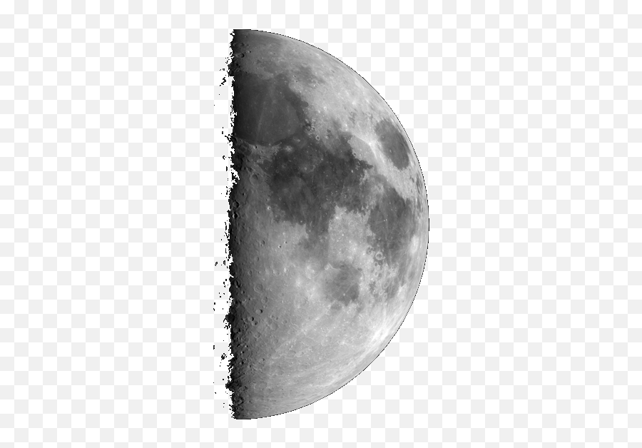 First Quarter Moon Png Picture 773268 First Quarter Moon Png - Moon Print Close Up Emoji,Emoji Moon Calendar