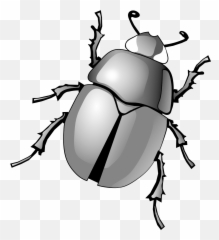Cute Clipart Beetle Cute Beetle Transparent Free For - Dung Beetle Clipart Emoji,Beetle Emoji