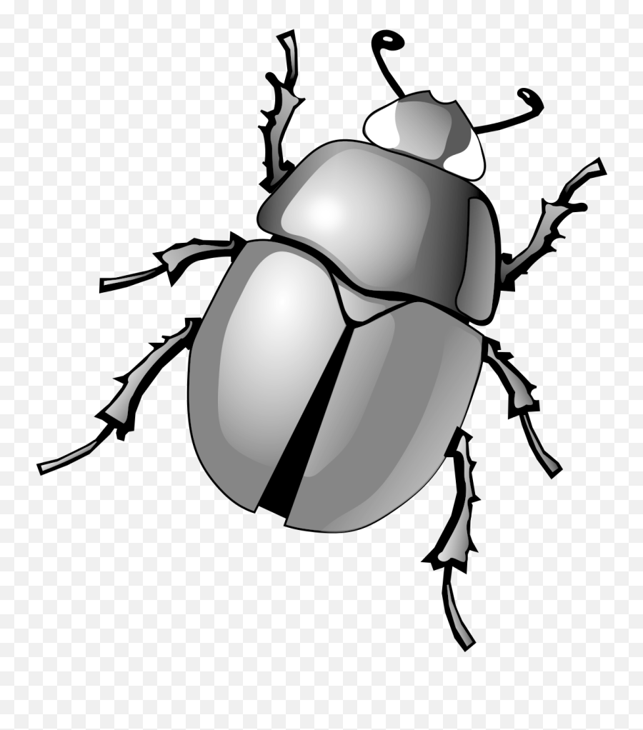 Cute Clipart Beetle Cute Beetle Transparent Free For - Dung Beetle Clipart Emoji,Beetle Emoji