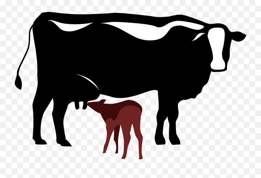 Cow Calf Symbol Free Vector Graphic - Cartoon Cow And Calf Emoji,Cow Emoji Png