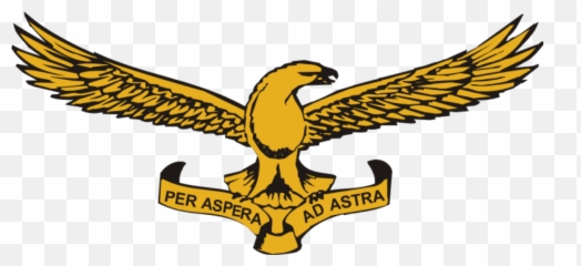 South African Air Force Emblem - Emoji