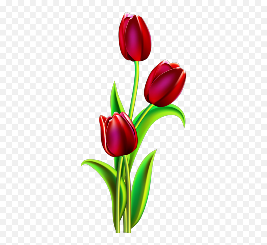 Tulip Tulips Flower Flowers Roes Roses - Easy Tulip Flower Painting Emoji,Tulips Emoji