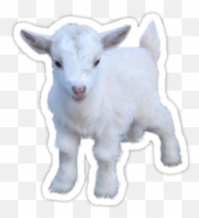 Supernatural Cartoon Design - Goat Sticker Emoji,Goat Emoji
