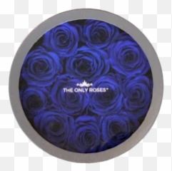 Round Classic Grey Box - Circle Emoji