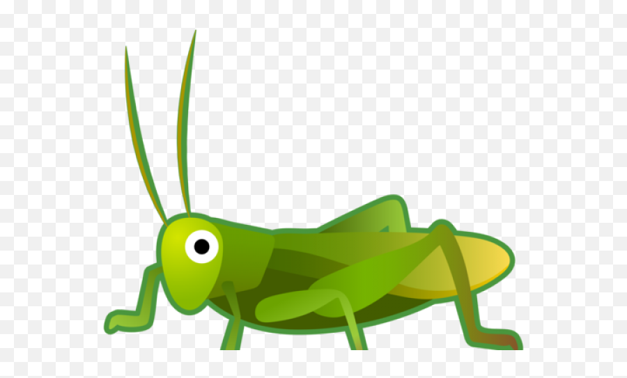 Grasshopper Png - Cricket Emoji Png,Grasshopper Emoji