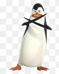 Literally The Koran U2013 Lazy Harp Seal Apologists - Kowalski Penguins Of Madagascar Emoji,Deez Nuts Emoji