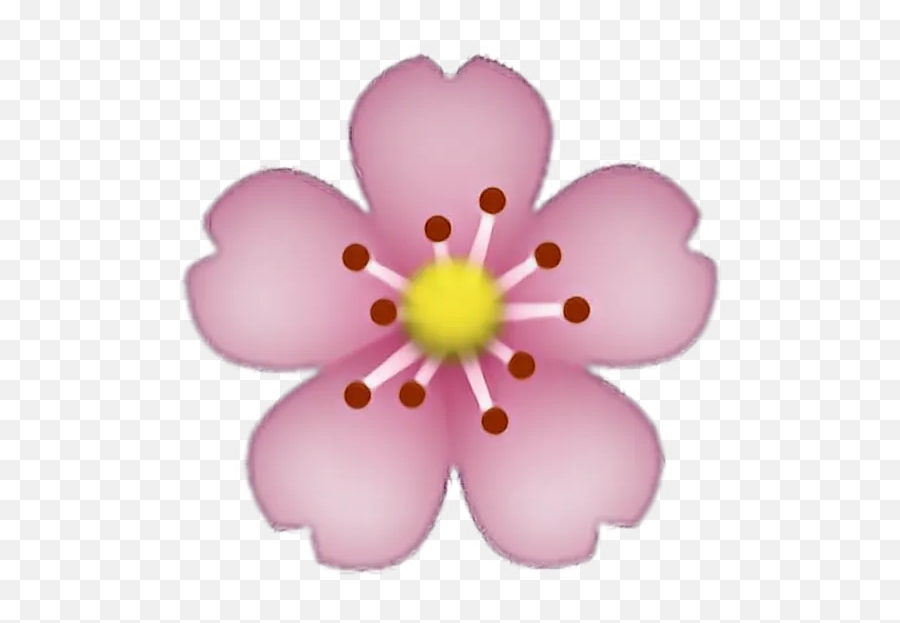 Emoji Whatsapp Corao The Emoji - Cherry Blossom Emoji Png,Emoticon Pensativo