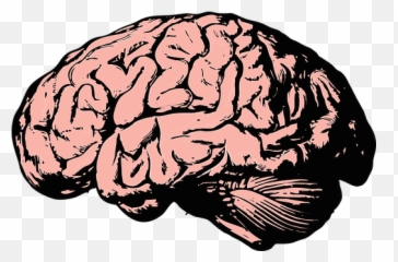 Free Mind Brain Vectors - Transparent Emoji