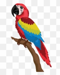 Free Png Parrot - Download Gambar Burung Kartun Emoji