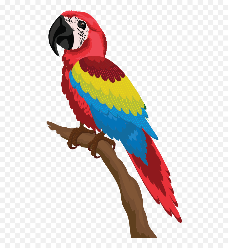 Free Png Parrot - Download Gambar Burung Kartun Emoji,Parrot Emoticon