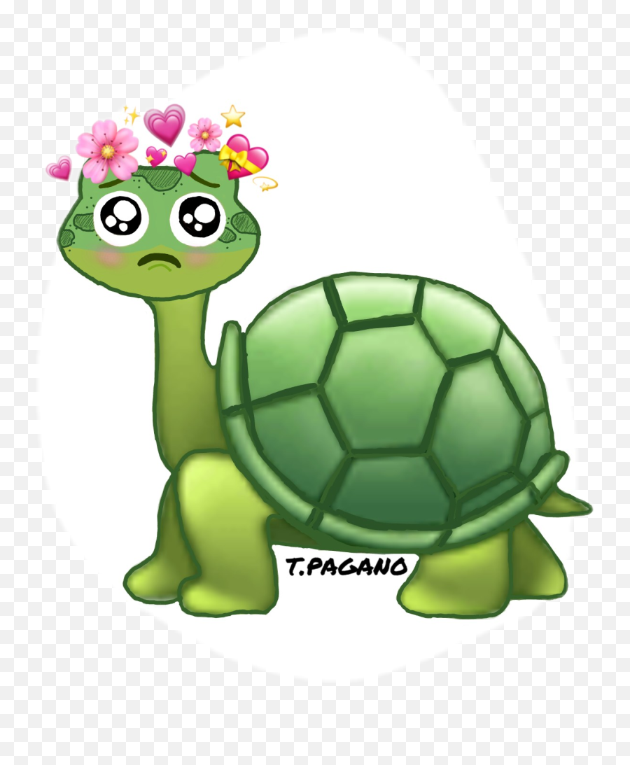 Emoji Turtle - Cartoon,Turtle Emoji