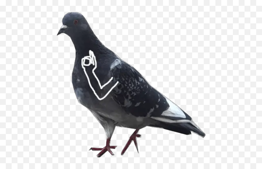 Dove With Hands Stickers For Whatsapp - Common Raven Png Emoji,Dove Emoji