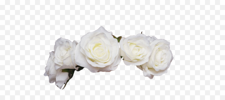 White Roses Stickers - Lovely Emoji,White Rose Emoji