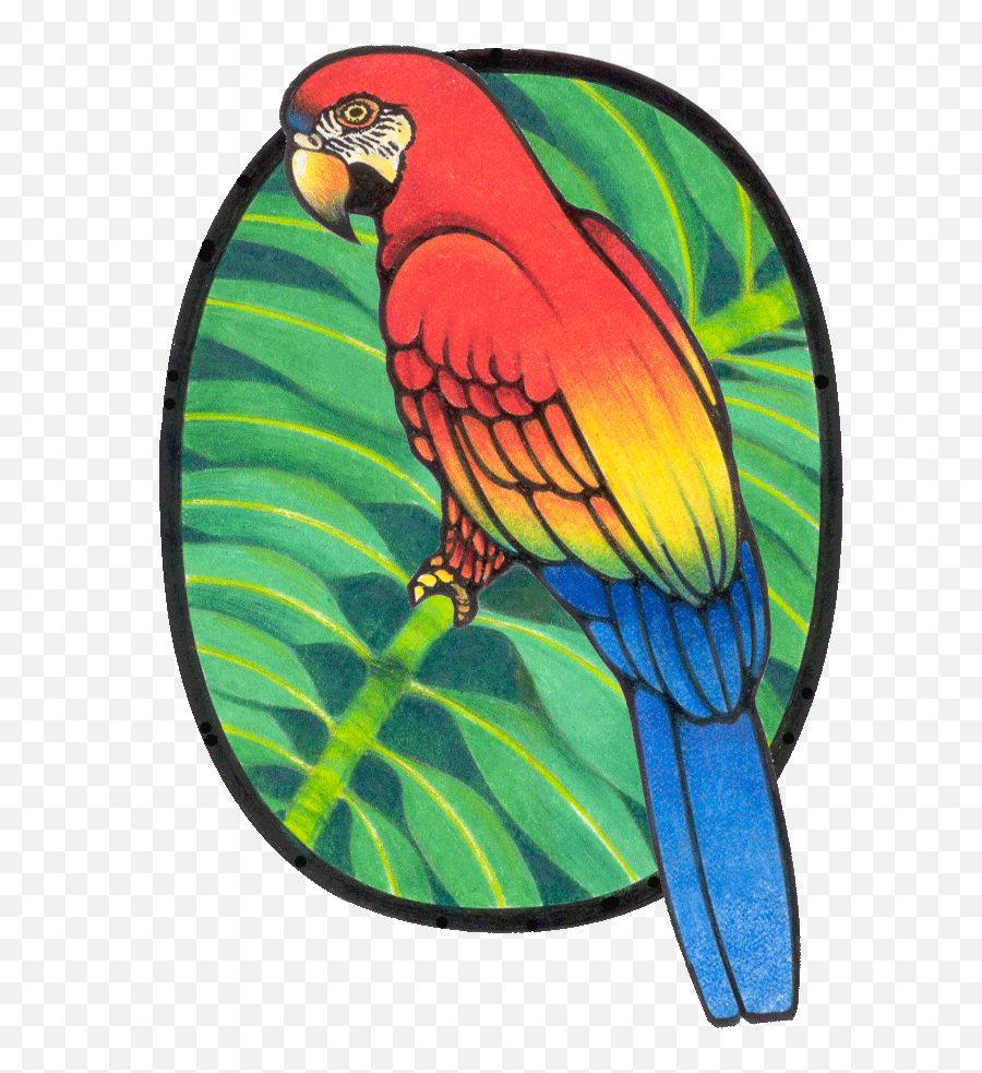 Parrot Graphic - Macaw Emoji,Parrot Emoticon