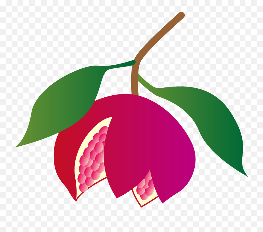Pomegranate Clipart - Fresh Emoji,Pomegranate Emoji