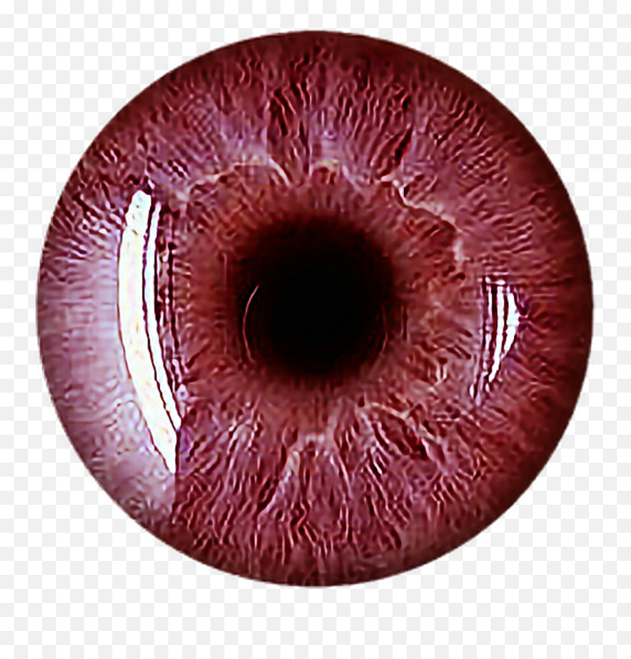 Free Creepy Eyes Transparent Download - Contact Lenses Png Emoji,Bloodshot Eyes Emoji