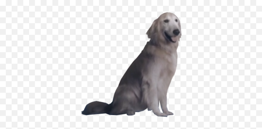 Dog Png And Vectors For Free Download - Ace Combat 7 Dog Jpg Emoji,Wiener Dog Emoji