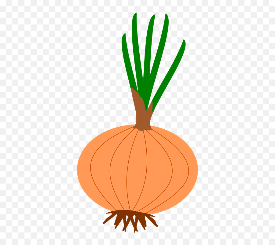 Free Onions Food Illustrations Emoji,Taco Emoticon